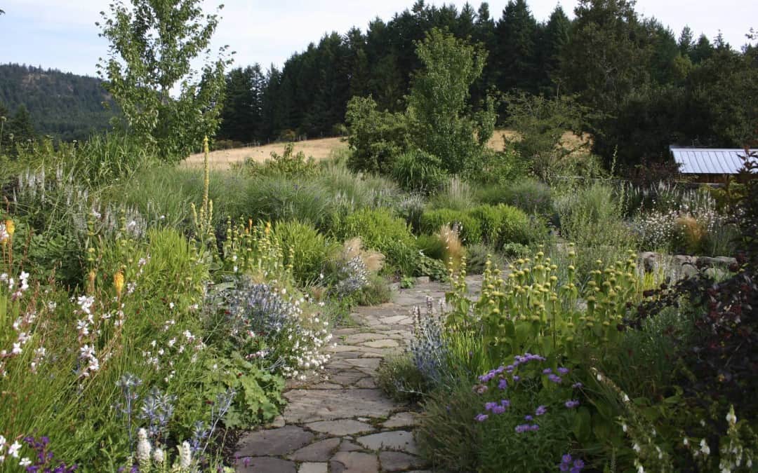 Landscape Sustainability-Designing this into your landscape