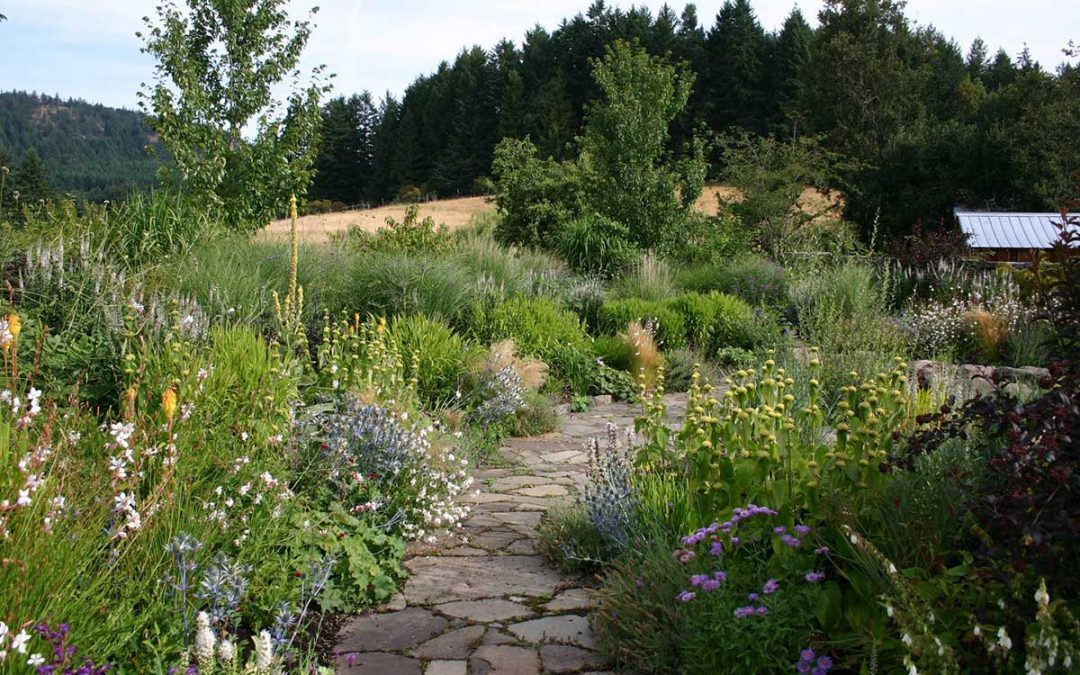 How does Permaculture design differ from Landscape Architecture